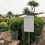 Club Koine Hotel
