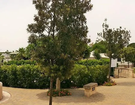 Club Koine Hotel