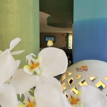 Szálloda Club Koine