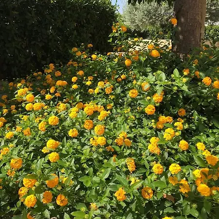 Szálloda Club Koine 4*