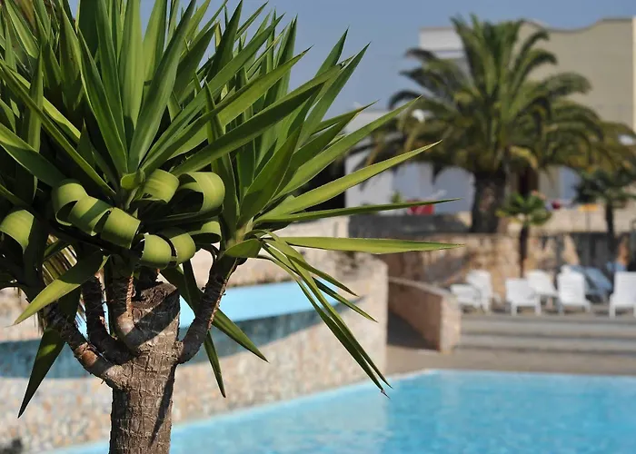 Готель Club Koine 4*